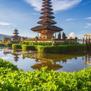 bali shegoestrip homepag