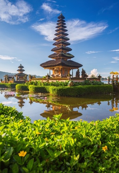 bali shegoestrip homepag