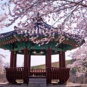 South Korea Spring Escape . Mixed - September 2026