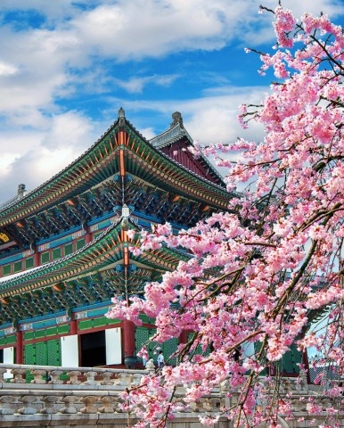 southkorea homepag