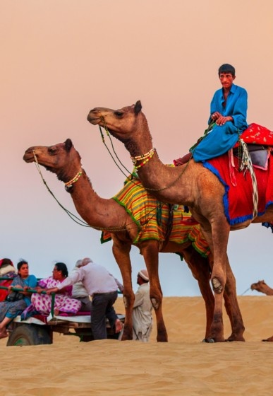 Rajasthan Tour She Goes