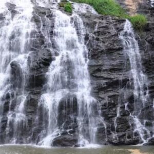 Agumbe Monsoon Escape – Mixed Trip