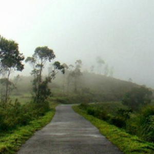 Gavi Forest & Dam Adventure - 1 day