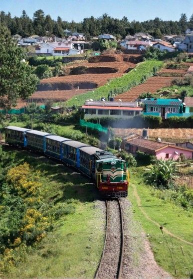 ooty Conoor Group trip from trivandrum Kerala